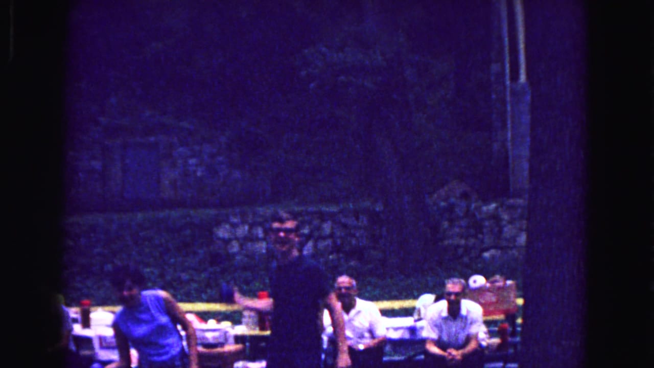 A man gestures near picnic tables while seated adults watch in a shaded outdoor area.