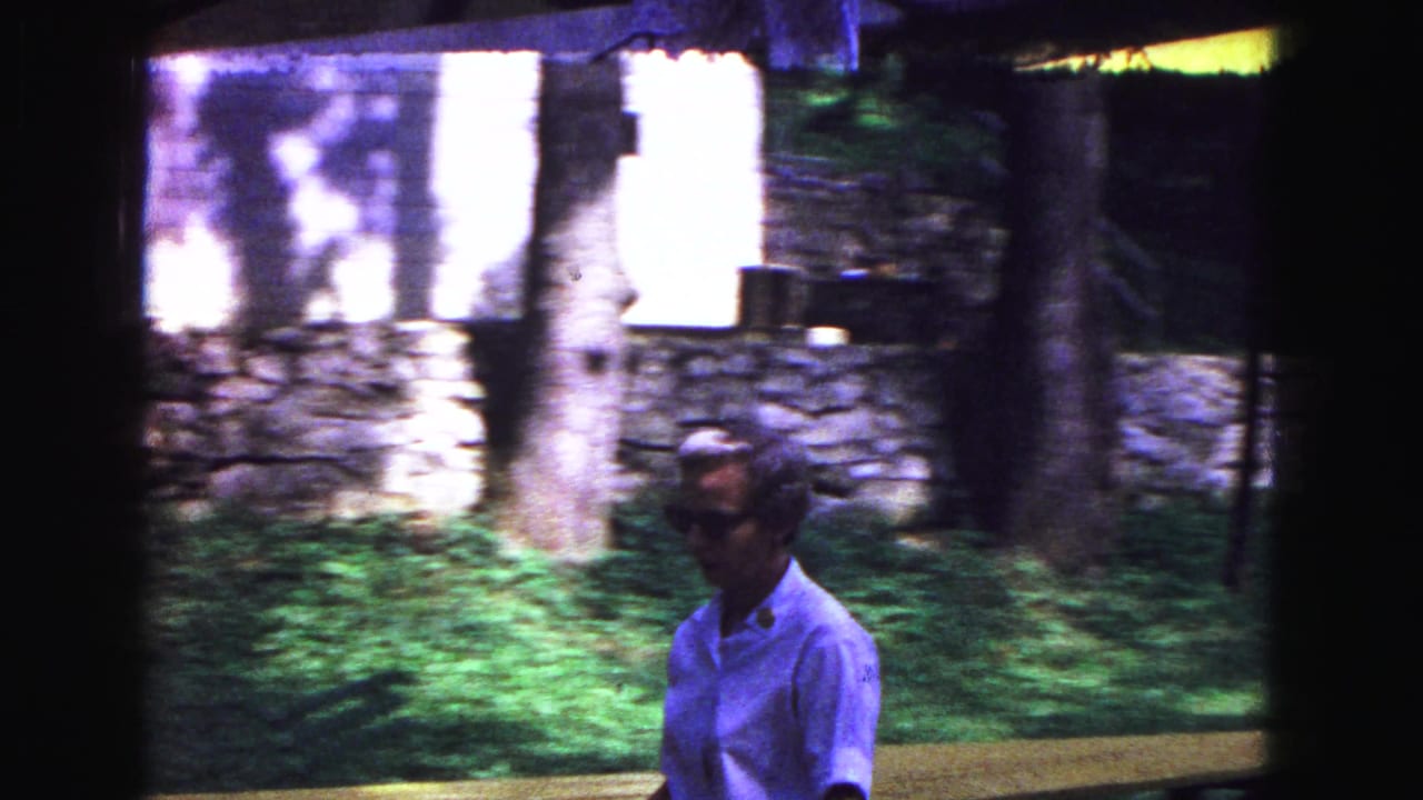 Woman walks past a stone wall and tree with a grassy slope behind her.