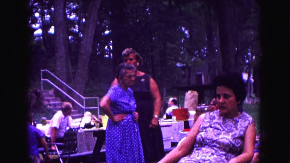 1967 Galena, Illinois park picnic scene with women in 1960s dresses, seated guests, tables, and trees visible.