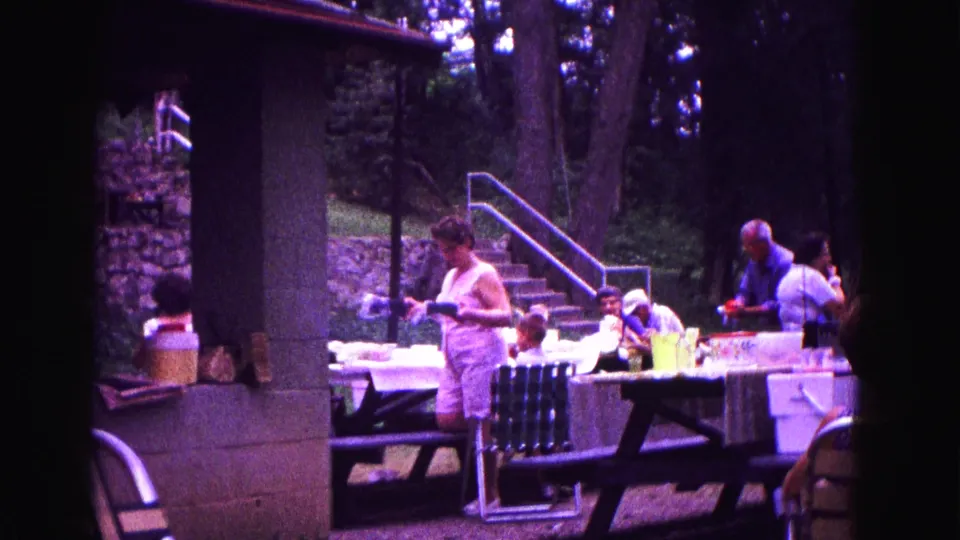 A woman stands near a park shelter column as adults sit at covered picnic tables, with trees, steps, and serving items nearby.