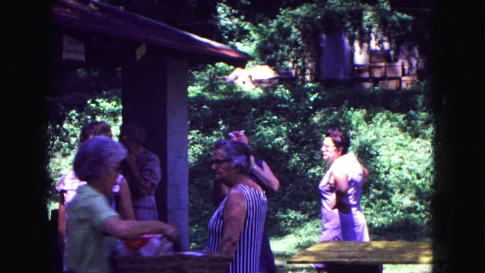 A family picnic scene shows adults in 1960s clothing standing around a picnic table beside a wooded shelter area.