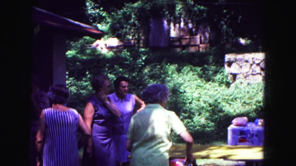 Women and other adults gather beside a picnic table during a 1967 Galena family picnic, captured with saturated 8mm color.