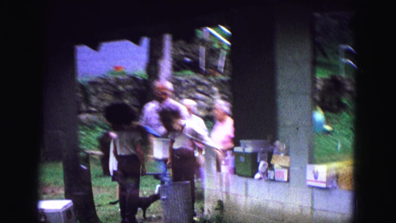 Adults approach a park pavilion with picnic supplies, coolers, trees, and a dog nearby.