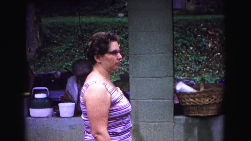 The woman remains in profile at the Galena picnic shelter, with a cooler, cup, wicker basket, and leafy background visible.