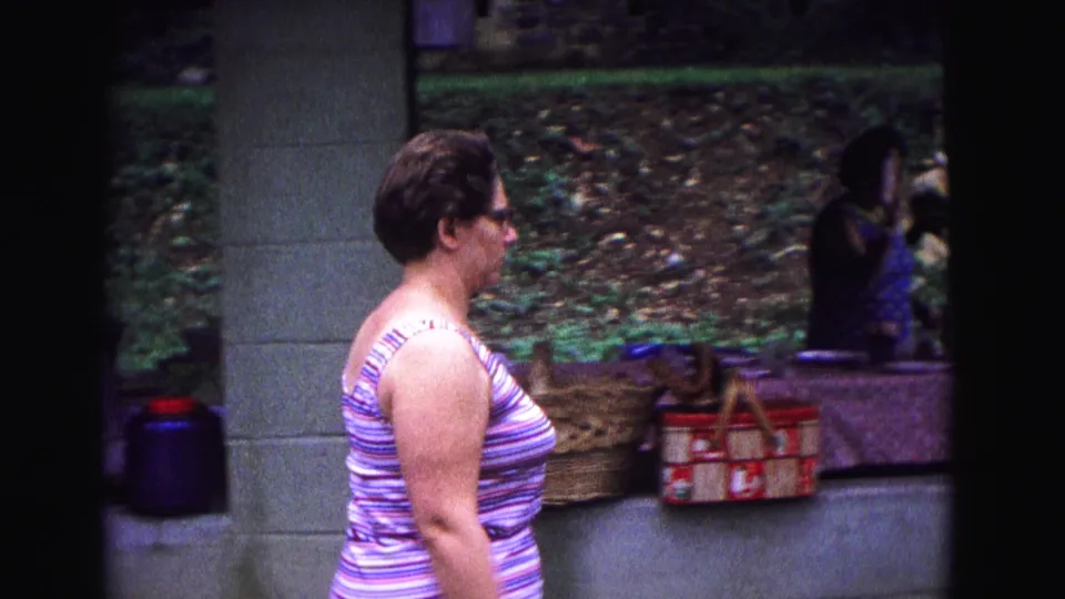 At the Galena picnic shelter, the woman stands beside visible picnic gear including a wicker basket and red checkered basket.