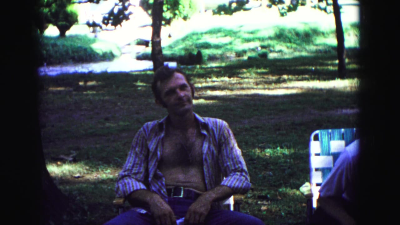 Man in an open striped shirt sits in a folding chair under trees at a picnic.