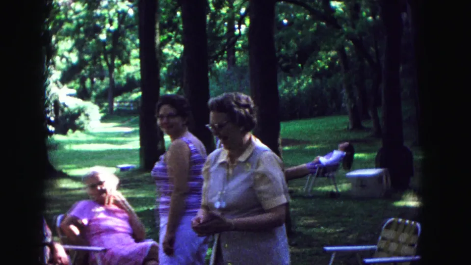 Galena, Illinois park picnic scene with older adults in casual summer clothing standing and seated under tall trees.
