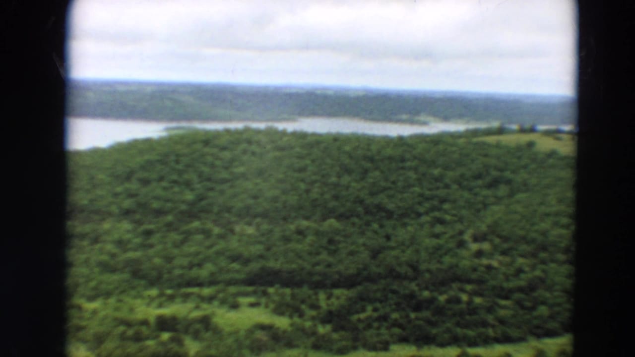 Forested slope with a broad pale river or lake visible beyond the trees.