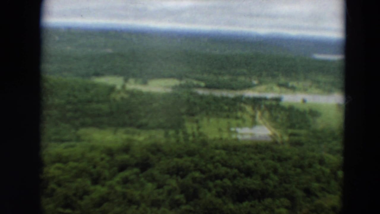 Soft aerial view over green forest, distant water, and pale clearings framed by dark window edges.