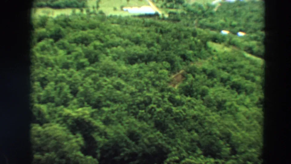 1967 Minnesota aerial home-movie frame looking down over dense green trees with pale roads or paths near the upper edge.
