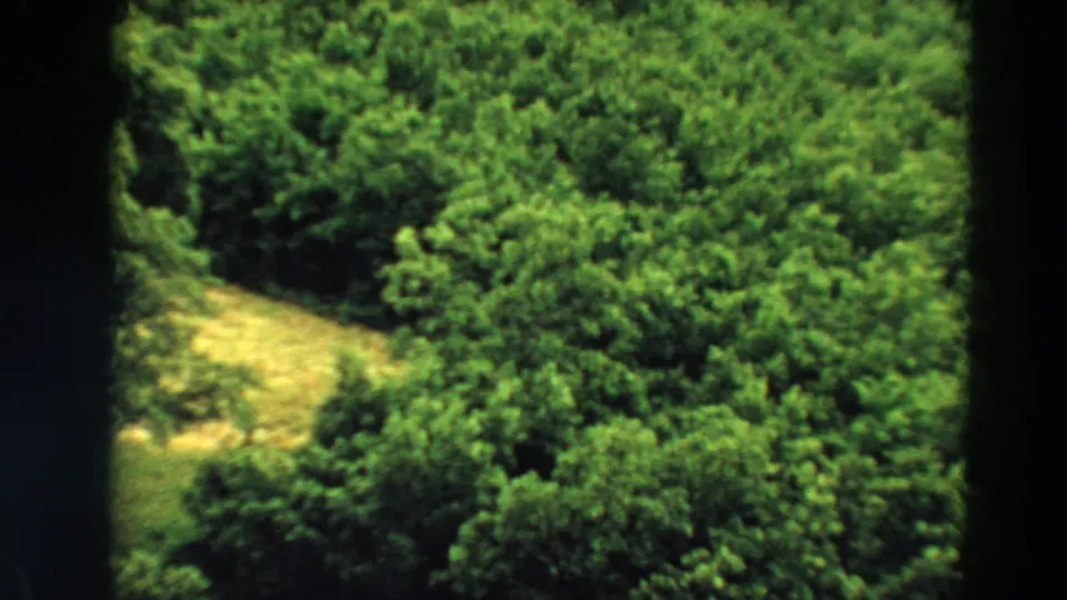 1967 Minnesota 8mm frame showing a grassy opening and surrounding forest from a moving aerial viewpoint.