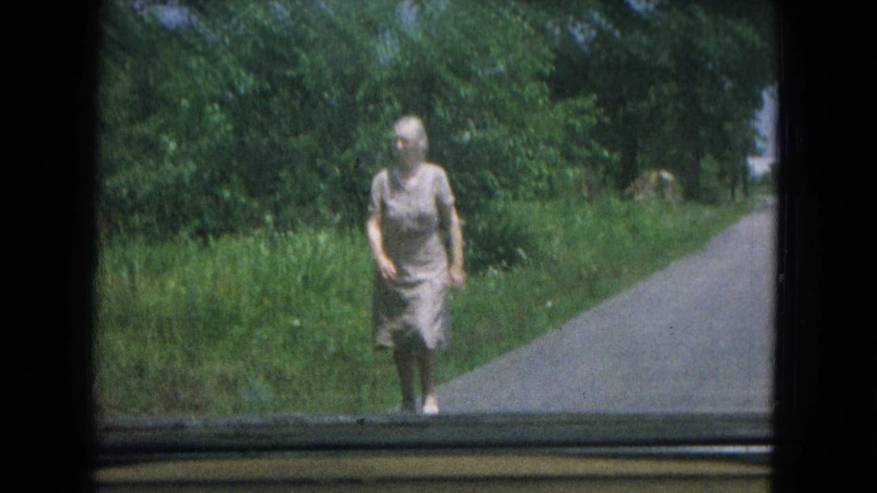 Elderly woman in a light dress walks along a rural driveway toward a car window.