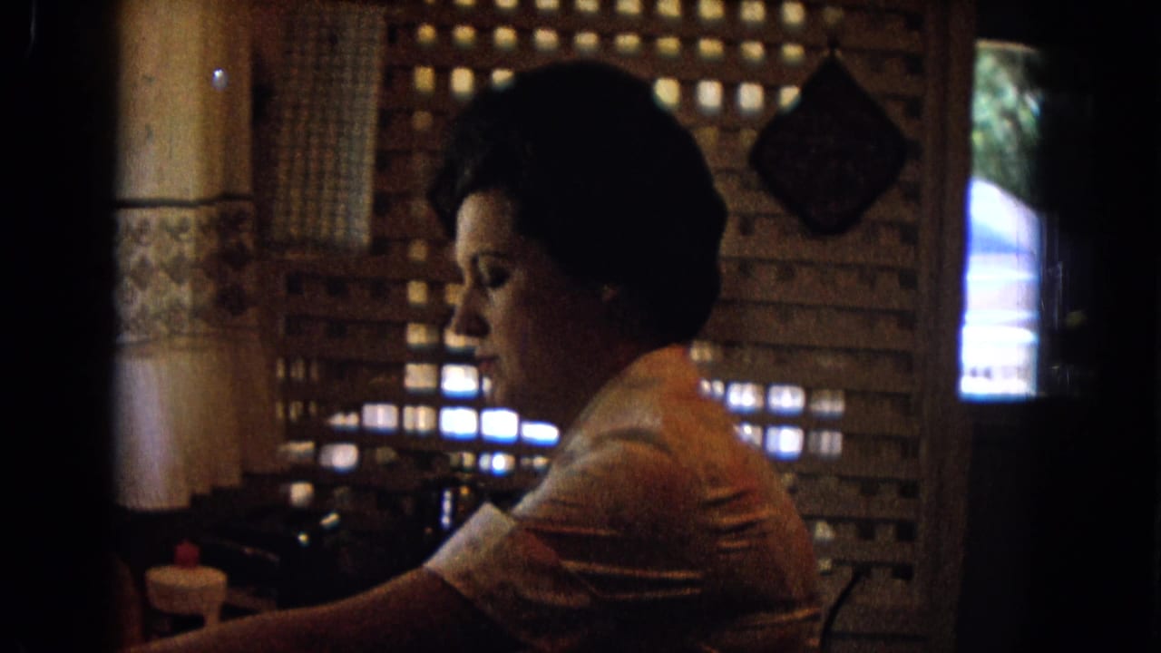 A woman in a floral dress is seen in side profile at a kitchen counter, with a patterned lattice partition behind her.