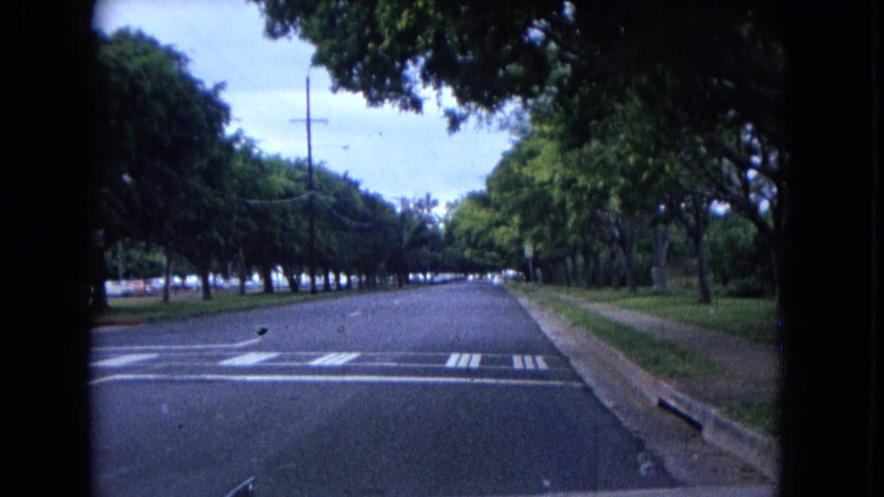 1967 8mm travel view from a vehicle on a tree-lined road in New Mexico, with lane markings, utility poles, and a car hood visible.