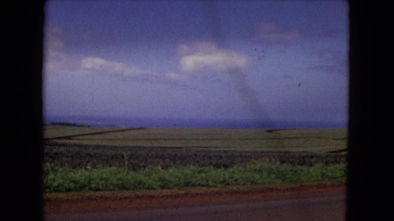 Roadside fields under a cloudy sky with distant low mountains.
