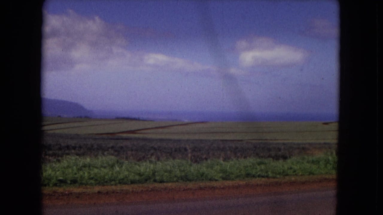 1967 New Mexico countryside frame with neat crop fields, a low mountain ridge, blue sky, clouds, and 8mm frame edges.