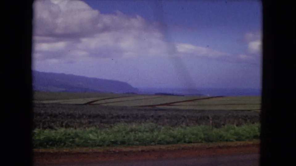1967 New Mexico 8mm frame showing roadside greenery, divided crop fields, a distant mountain ridge, and large clouds.
