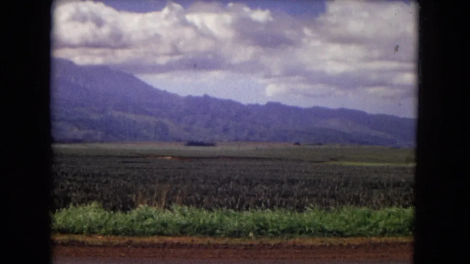 1967 New Mexico 8mm frame showing foreground vegetation, dark fields, a broad mountain slope, and bright clouds in soft faded color.