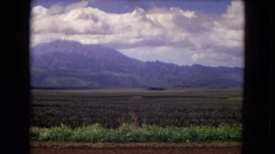 Final 1967 New Mexico landscape frame with fields, green roadside growth, blue-purple mountains, and cloud layers inside visible 8mm borders.