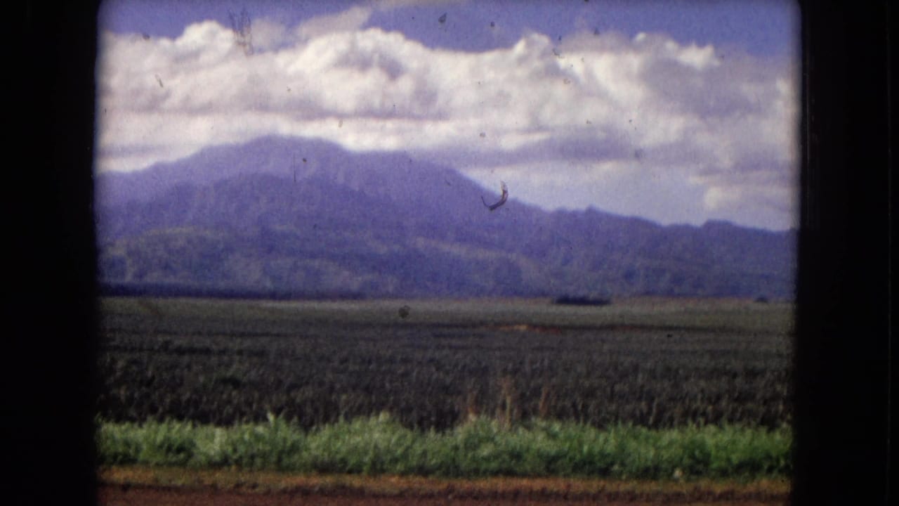 Wide farmland view with distant mountains, low crops, clouds, and dark 8mm frame edges.