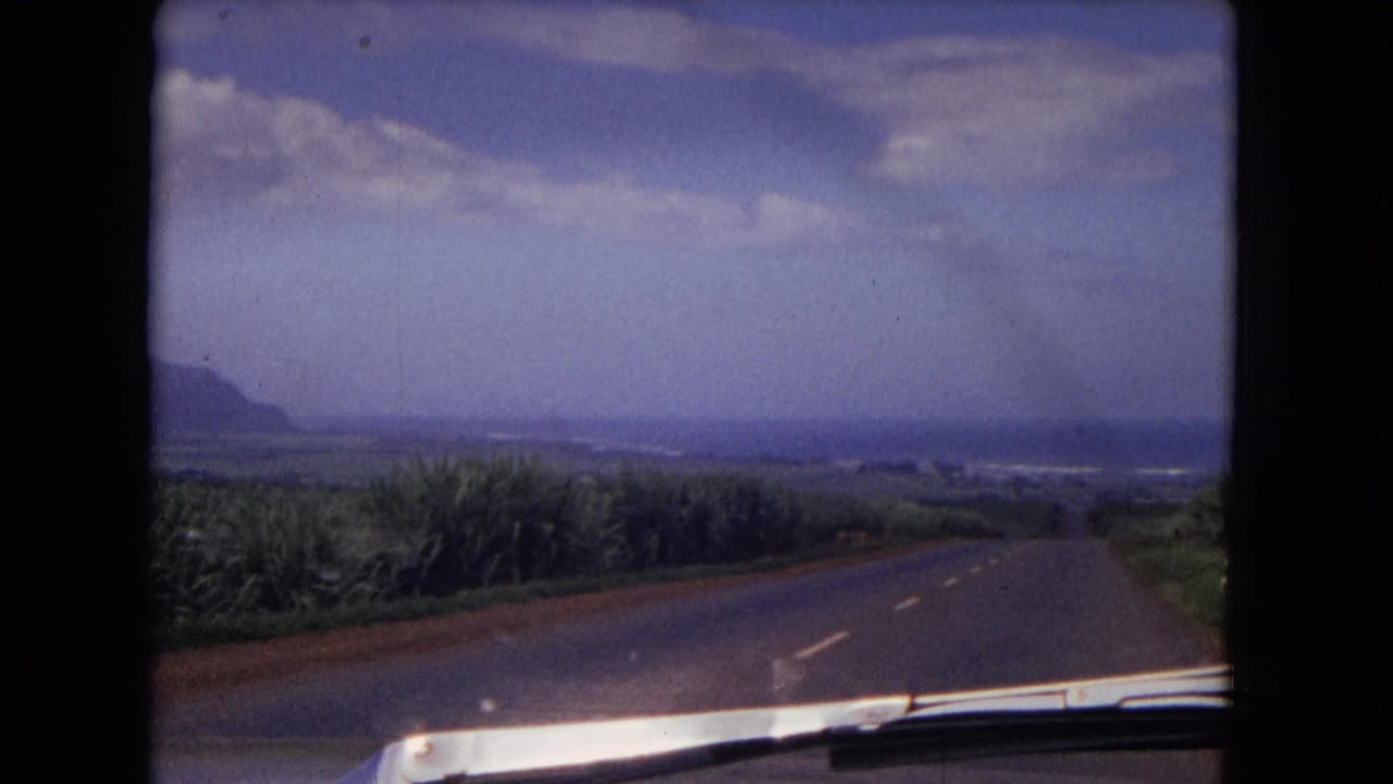 Moving-car view on 8mm film showing a road curving through vegetation toward low mountains and a pale distant horizon.