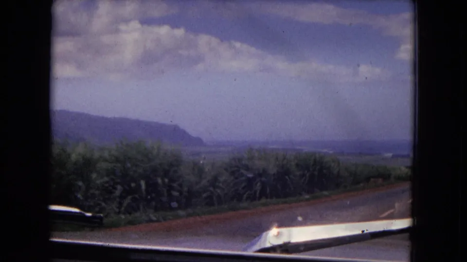1960s 8mm car-window landscape with dense roadside plants, a sloping mountain ridge, and a distant pale horizon.