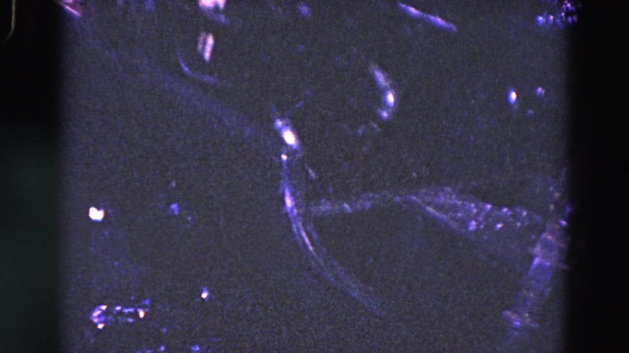 Shadowed close-up of curved machinery parts and reflective factory surfaces.
