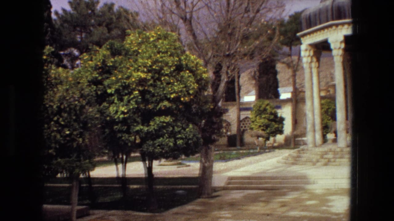 Courtyard with citrus trees, columned building entrance, and paved walkway in daylight.