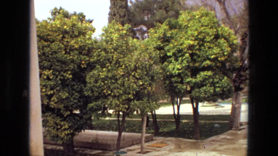 Iran 1972 home-movie view of courtyard trees, low planting beds, and a paved path near the funeral location.