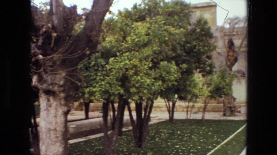 1972 Iran home-movie frame focusing on courtyard trees, a broad trunk, low garden wall, and partial historic building facade beyond.