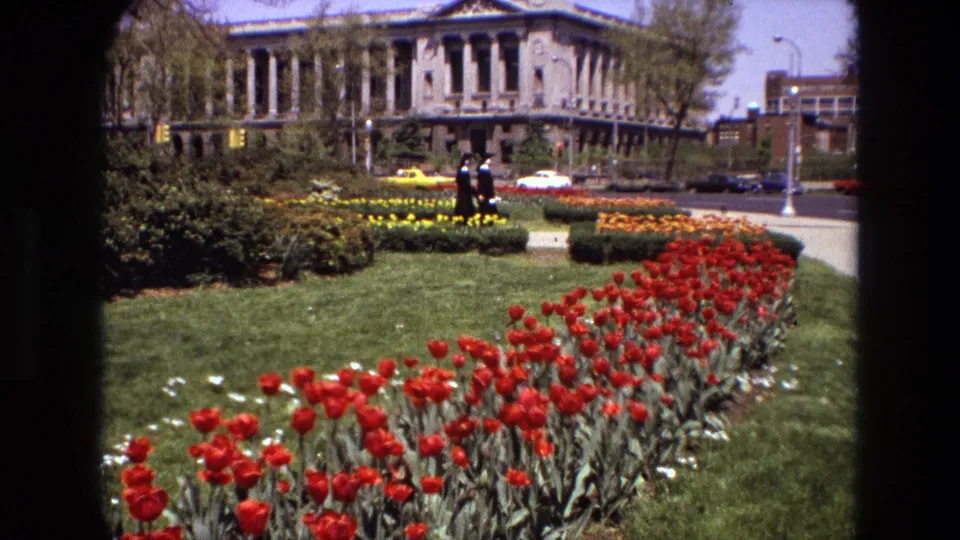 1972 Iran garden scene with red tulips, trimmed lawn, period cars, and two women walking near a large columned building.