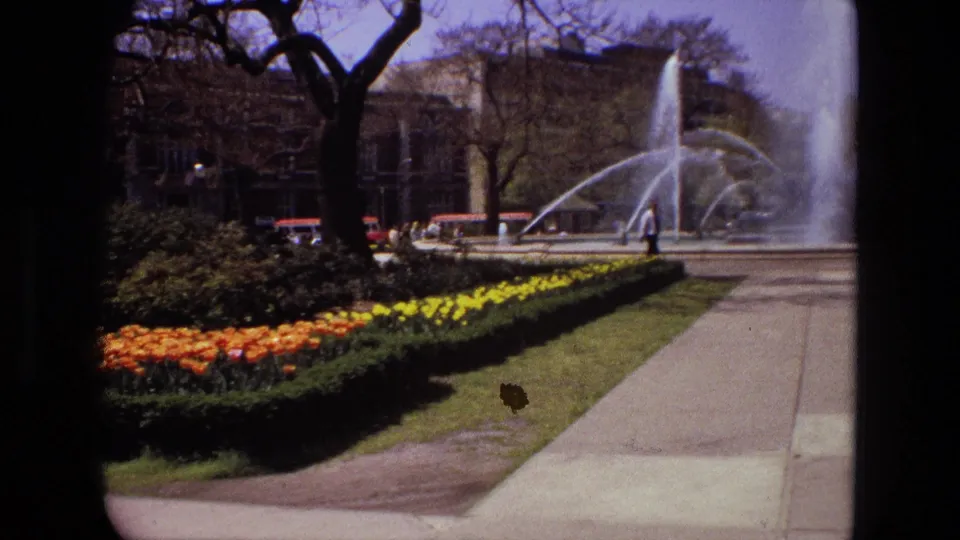 1972 Iran 8mm frame showing orange and yellow flowers, shrubs, a paved path, trees, and fountain spray in the courtyard.
