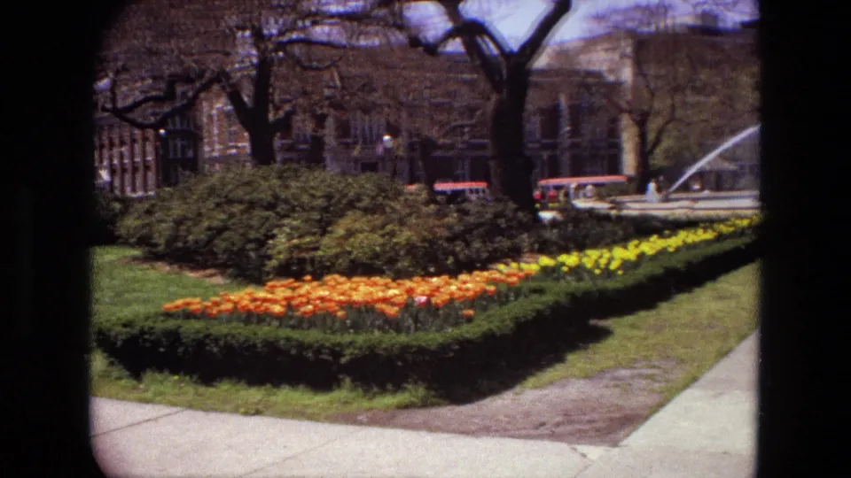 1972 Iran 8mm frame with formal flower beds, shrubs, bare trees, a walkway, distant vehicles or structures, and fountain spray at right.