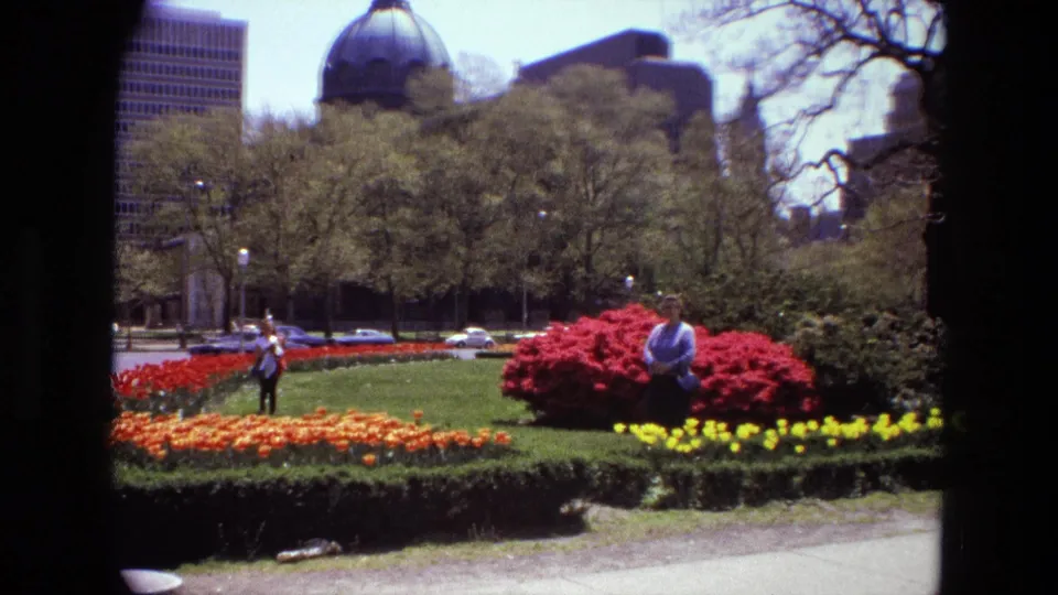 1972 Iran garden scene with distant visitors, flower beds, parked cars, city buildings, trees, and a domed landmark-like structure.