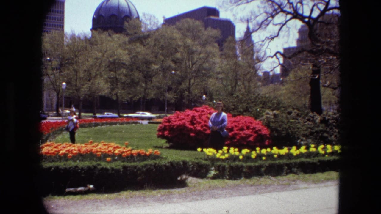 Flower beds and lawn in a city park with pedestrians, parked cars, trees, and buildings beyond.