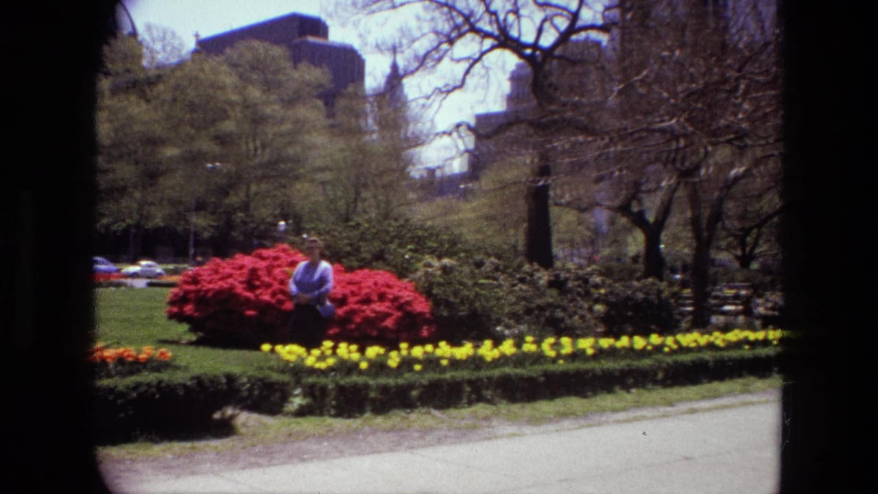 Park flower beds and lawn with a person near a red bush and city buildings behind trees.