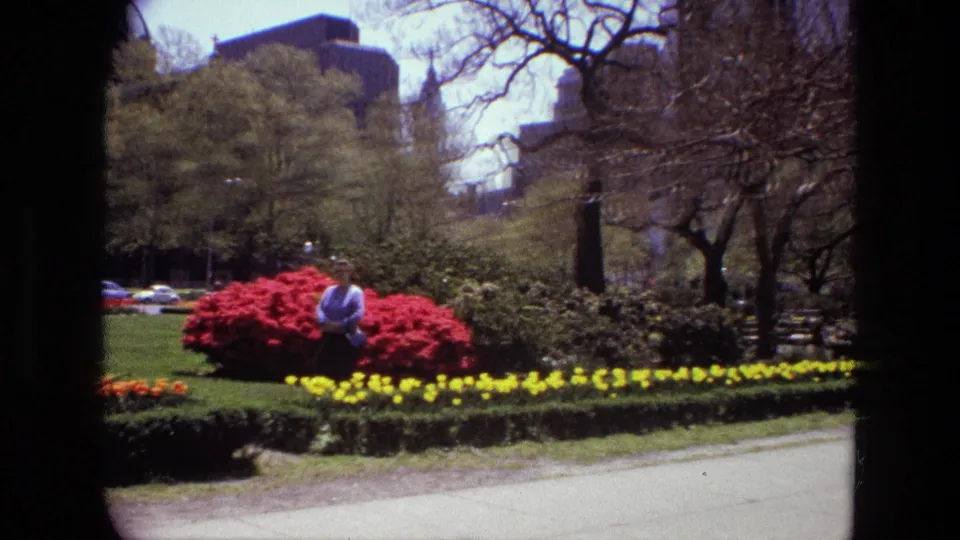 1972 Iran park scene with red and yellow flowers, a person standing by a red bush, trees, cars, and city buildings in the background.