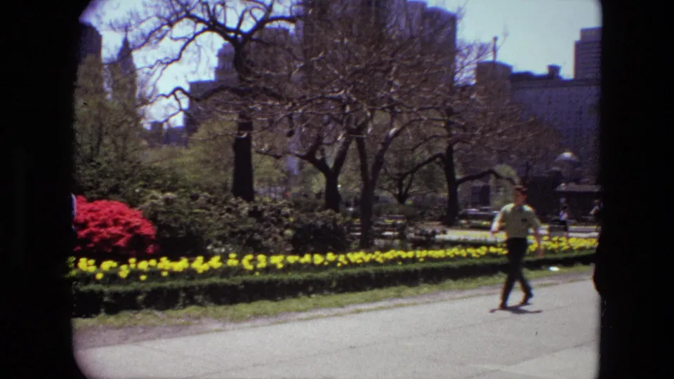1972 Iran 8mm frame of a pedestrian walking past yellow flower beds, shrubs, bare trees, and urban buildings beyond the park.