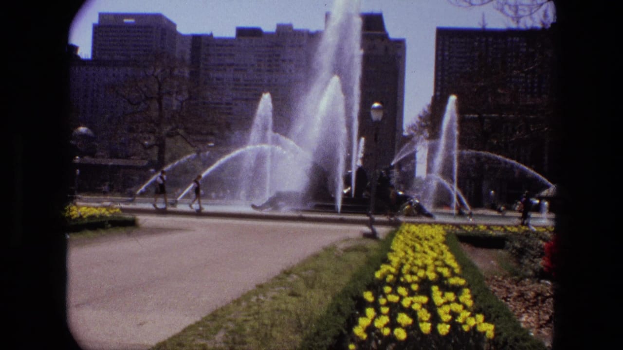 Large fountain sprays across a landscaped garden with yellow flowers.