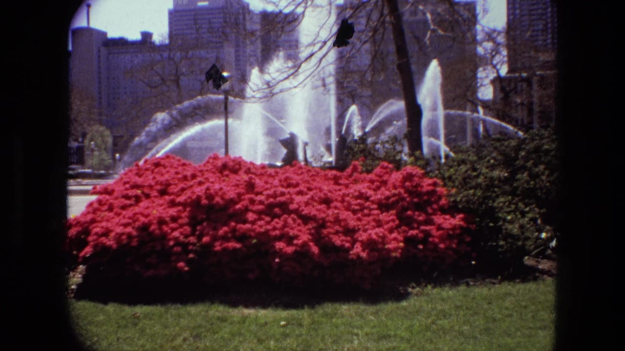 Red flowering bush with arcing fountain water, trees, and city buildings behind.