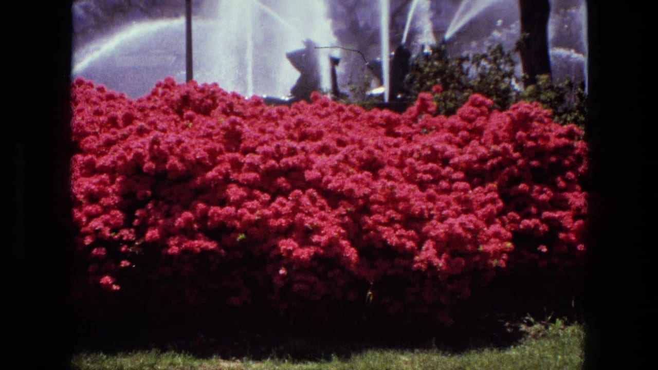 Red flowerbeds beside fountain spray and trees in a landscaped city square.