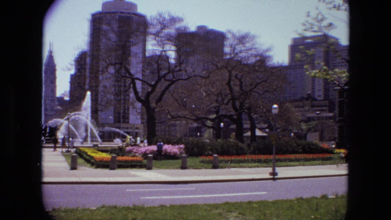 Fountain and flowerbeds across a city street, with trees and tall buildings behind.