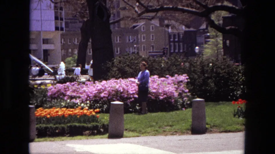 1972 Iran park frame showing a woman in a blue top near pink flower beds, with fountain spray, trees, bollards, and buildings in back.
