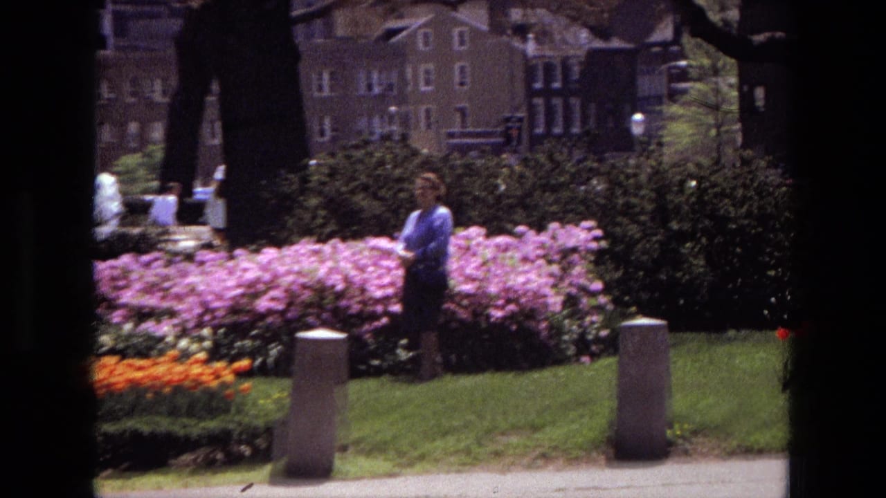 1972 Iran home-movie frame showing a woman by pink flowers, manicured grass, concrete bollards, shrubs, and urban buildings.