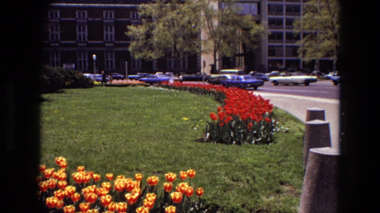 1972 Iran garden view with orange and red tulips, clipped lawn, concrete bollards, buildings, and period cars along the street.