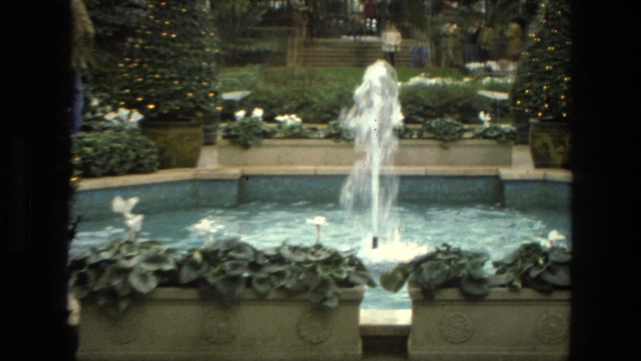 Close view of a fountain pool with planters and garden decorations behind it.