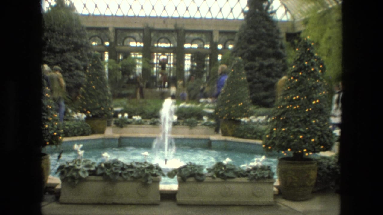 Indoor conservatory with a fountain, decorated trees, planters, glass ceiling, and visitors in the background.