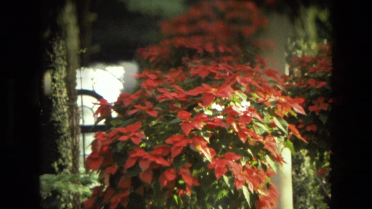 Dense red and green plant growth beside columns and bright window-like openings.