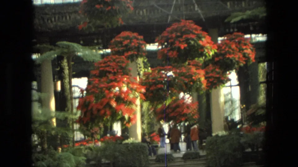1972 Iran home-movie view of visitors walking through a conservatory space with poinsettias, columns, railings, and ferns.