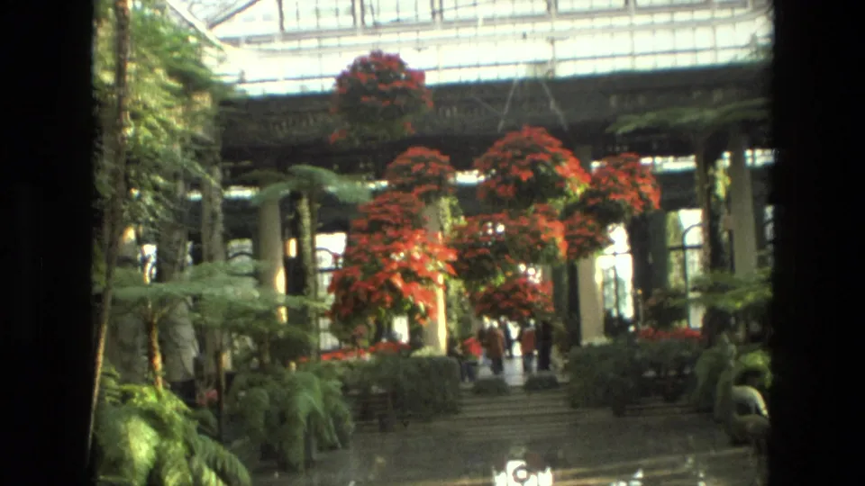 1972 Iran frame showing a wide conservatory-like interior with red poinsettia displays, ferns, glass roof, columns, and distant visitors.